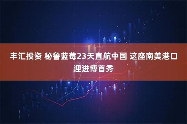 丰汇投资 秘鲁蓝莓23天直航中国 这座南美港口迎进博首秀