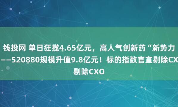 钱投网 单日狂揽4.65亿元，高人气创新药“新势力”——520880规模升值9.8亿元！标的指数官宣剔除CXO
