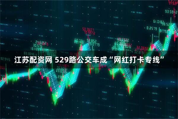 江苏配资网 529路公交车成“网红打卡专线”