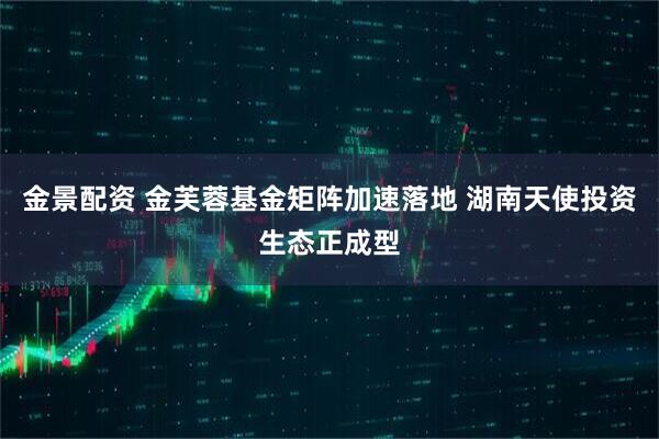 金景配资 金芙蓉基金矩阵加速落地 湖南天使投资生态正成型