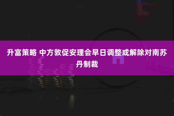升富策略 中方敦促安理会早日调整或解除对南苏丹制裁